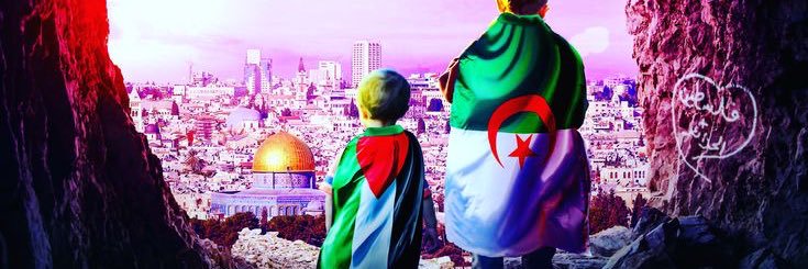 🇩🇿🇵🇸 banner