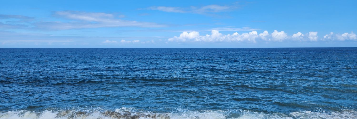 William Castillo Bollé banner