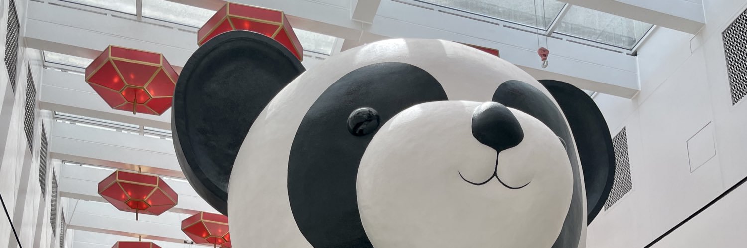 Thenotoriouslis's profile banner image