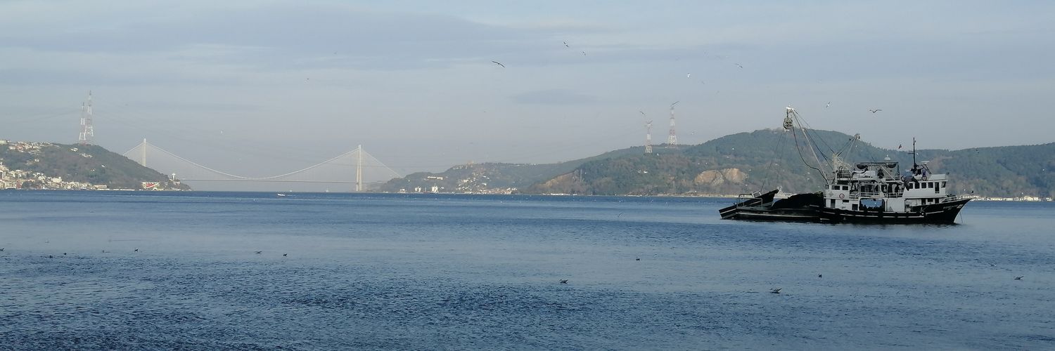 isilsema's profile banner image