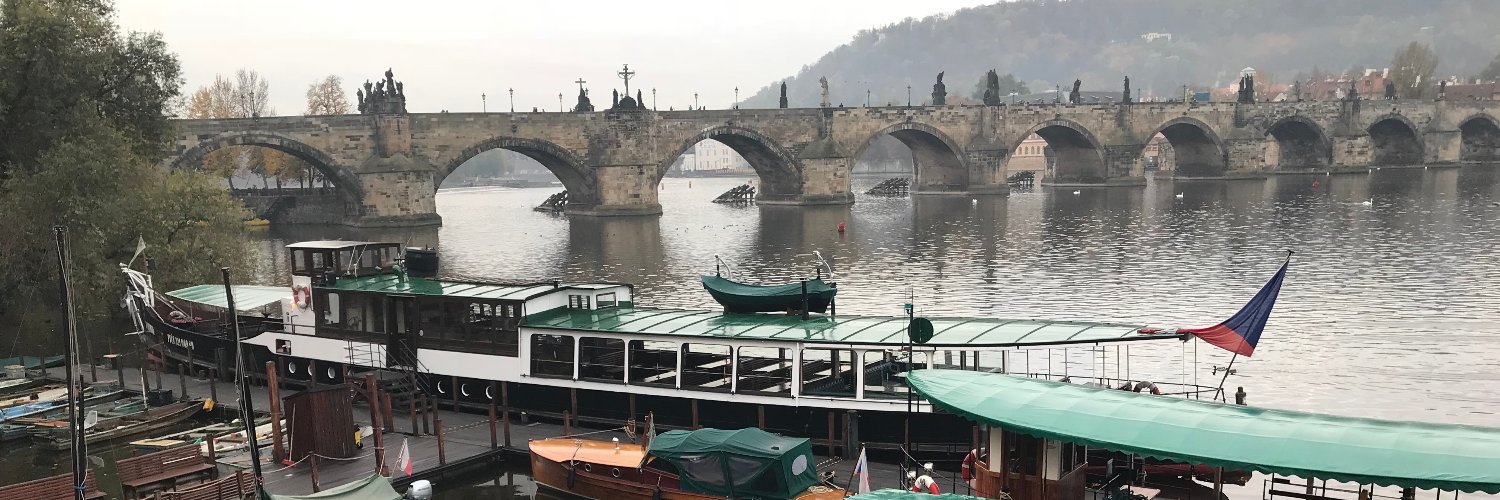 Madison Sewell (she/her) banner