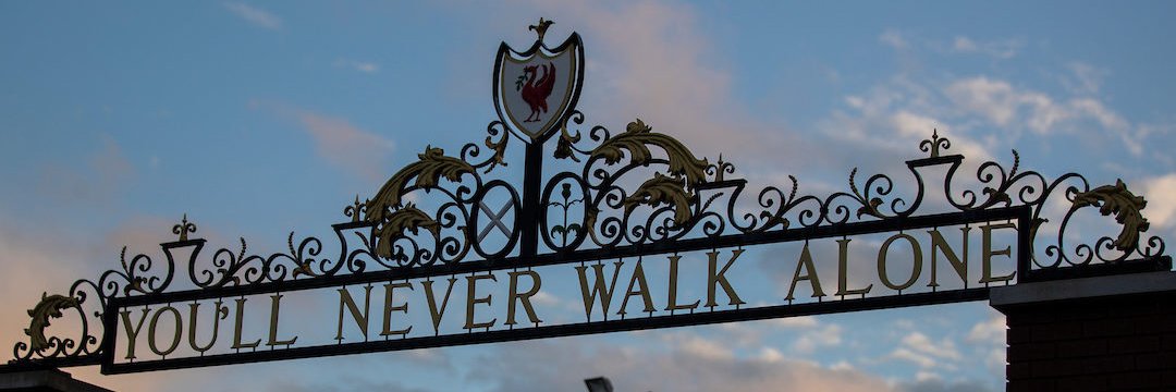 Berg ʸⁿʷᵃ 🐦‍🔥 banner