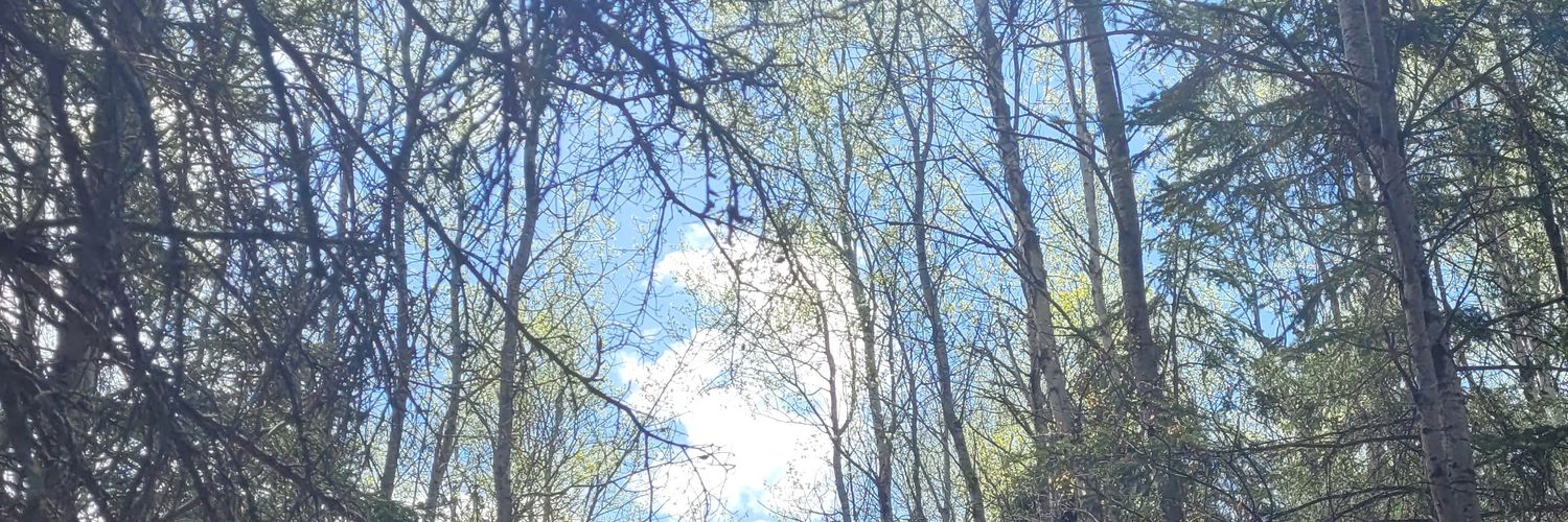 Tirzah Reilkoff banner