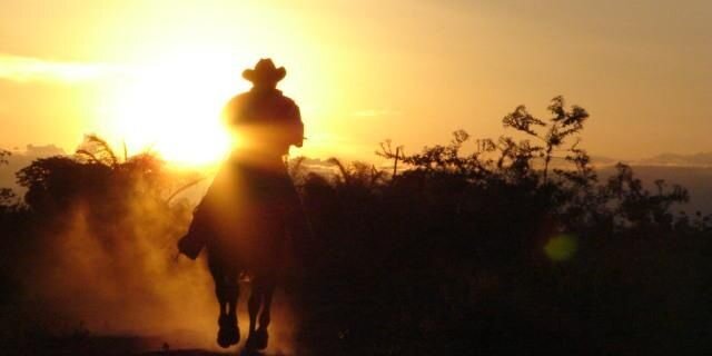 AndresAMachado's profile banner image