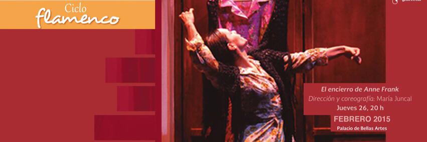 TVFlamenco's profile banner image