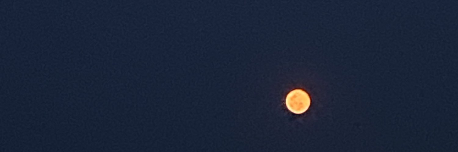 pp banner