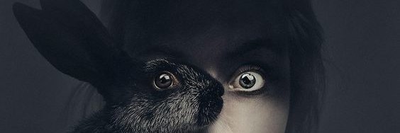 lydiaa16's profile banner image