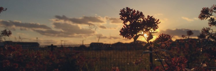 05kan27's profile banner image