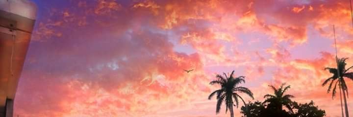 AngelicaDecilo1's profile banner image