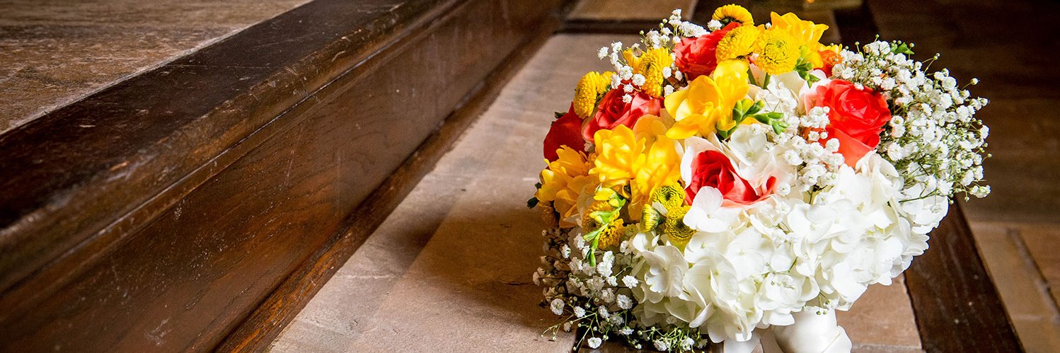 Carla Swank Fox banner