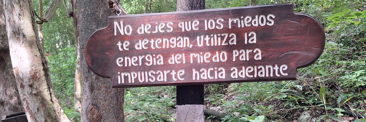 checo espinosa banner