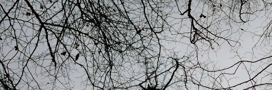 jakes9881's profile banner image