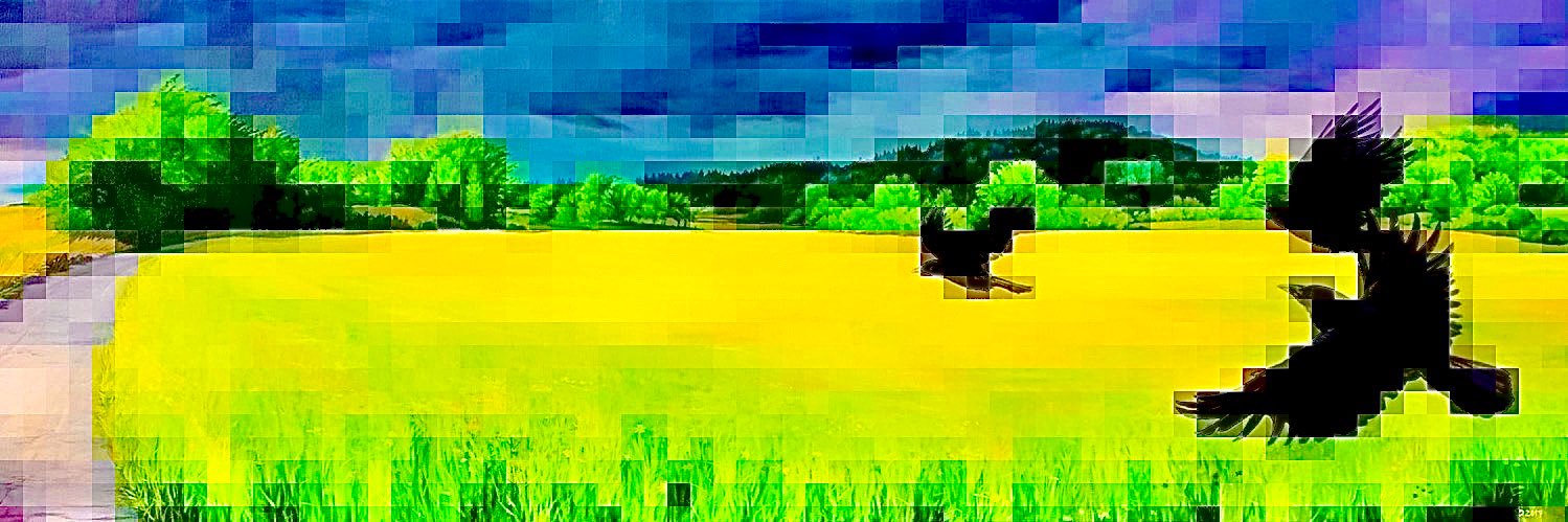 🐦‍⬛🪶🪙Daily Ravencoin🌐⛓🛤🧶 banner