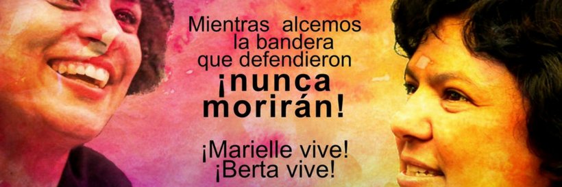 Instituto Políticas Alternativas para o Cone Sul banner