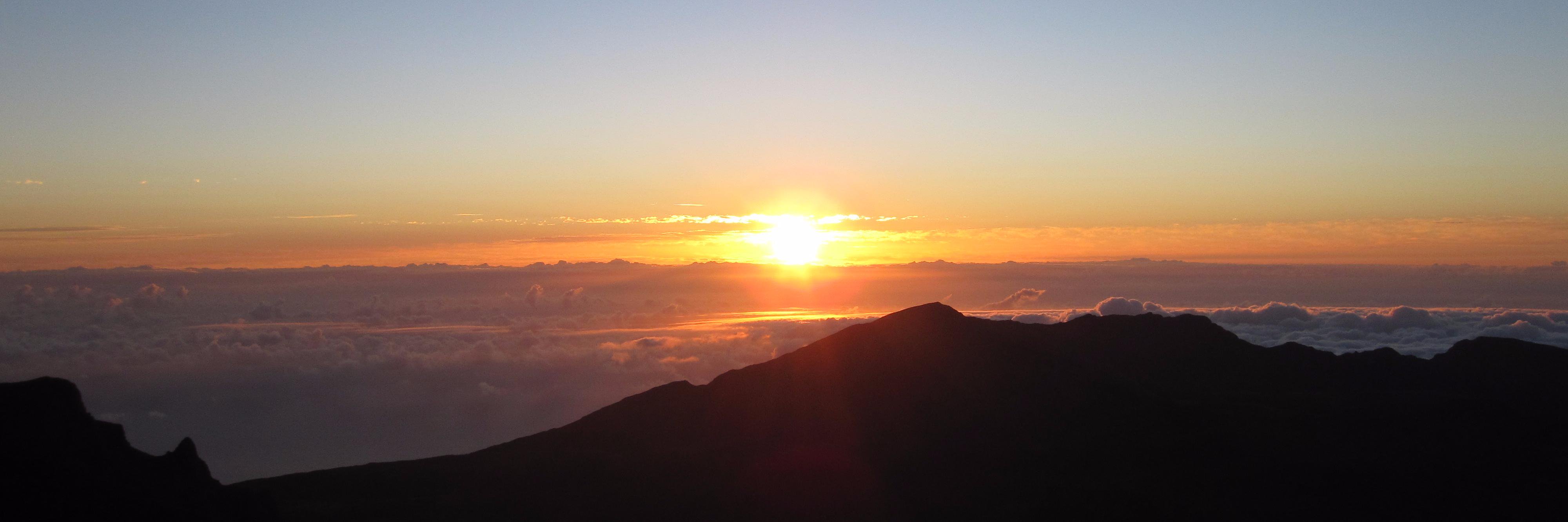 Sheldon Fernandez banner