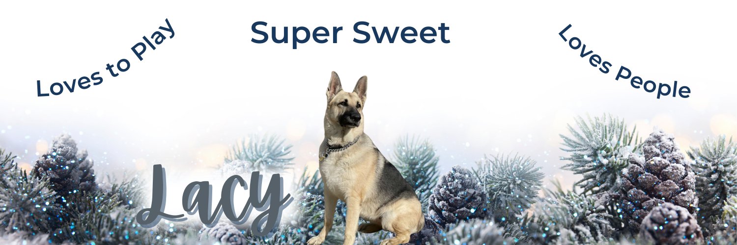 MAGSRPups's profile banner image