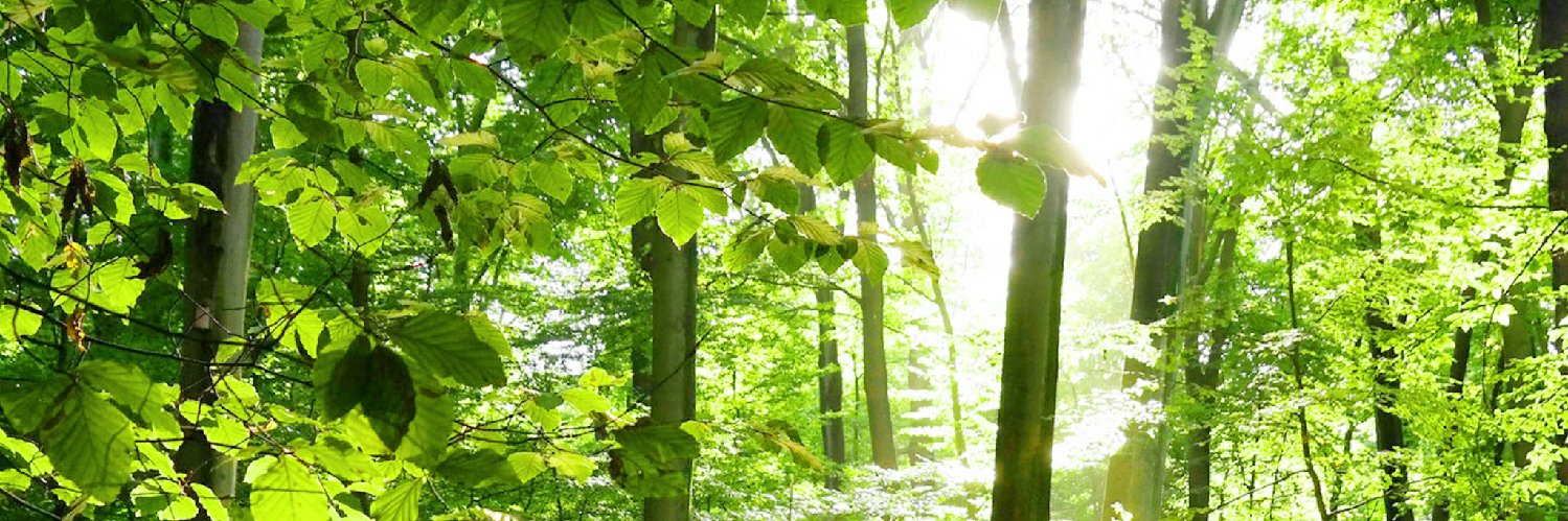 すまようた banner