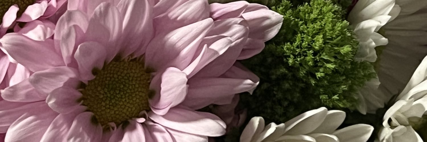 astoldbysarah_'s profile banner image