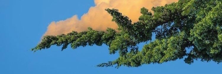 𝘽𝙚𝙧𝙧𝙧 banner