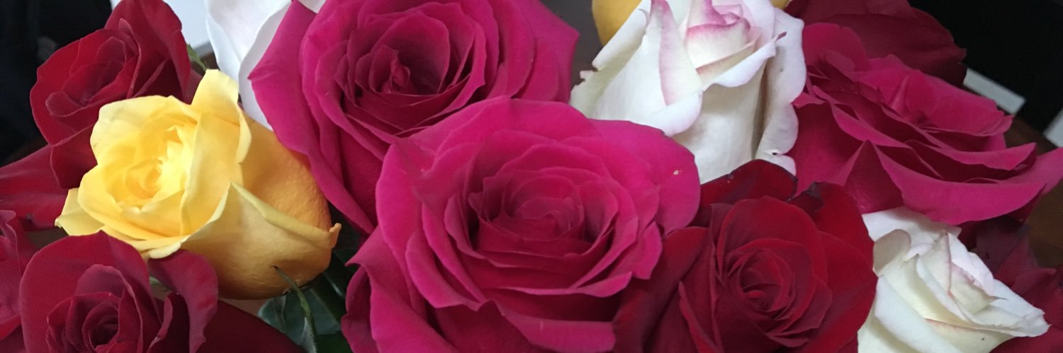 SandyBurns216's profile banner image