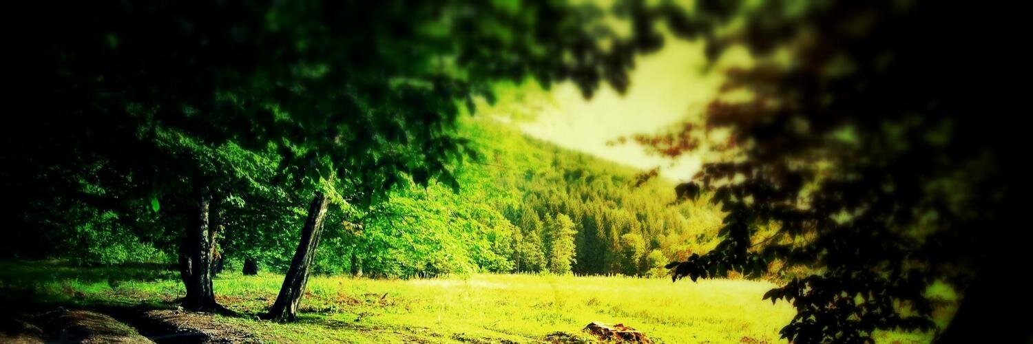 nayshasp's profile banner image