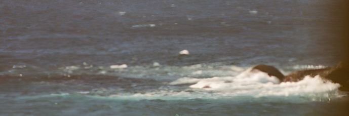 drakenlor_'s profile banner image