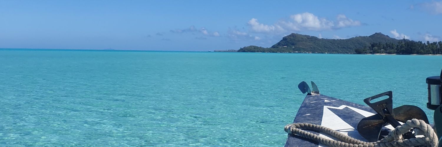 BeGribauval's profile banner image