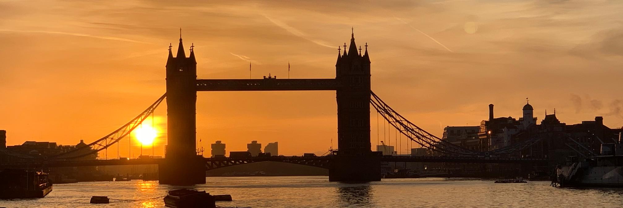 Dave Gartenberg banner