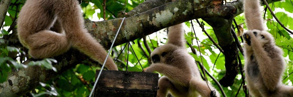 Michel Solana Kahn banner