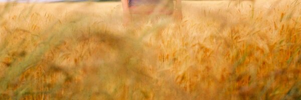 RebeccaFoon Profile Banner