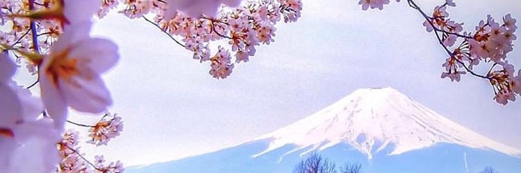 yaawarakai's profile banner image