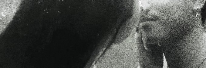 lani banner