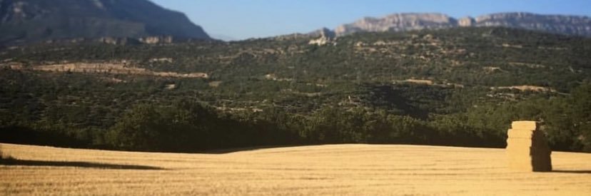 RebMarta's profile banner image