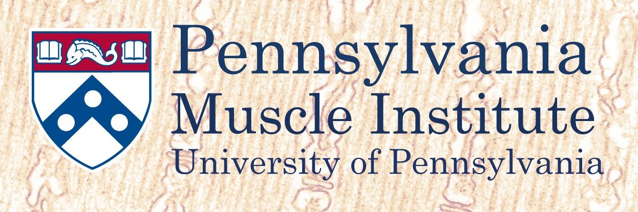 PennMuscle banner