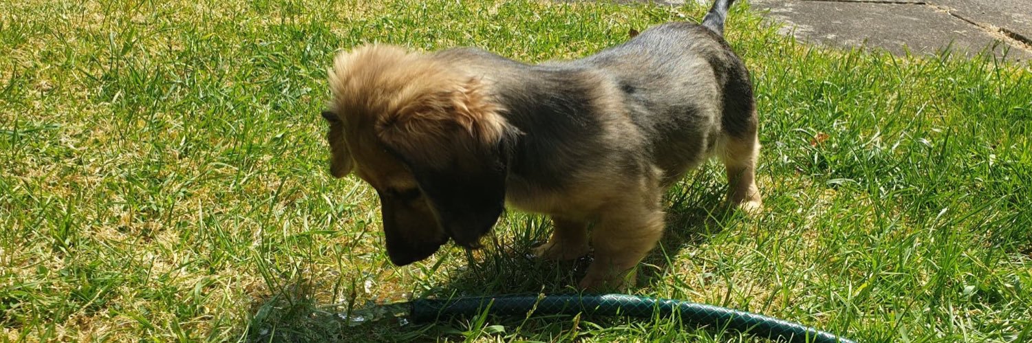 tobycosmo's profile banner image