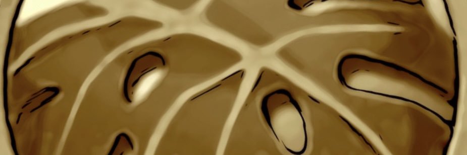 tweetwatcher14's profile banner image