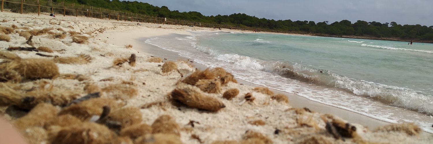 Aram Ortega Adzerías banner