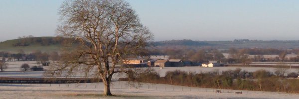 MilesHarrisLGA Profile Banner