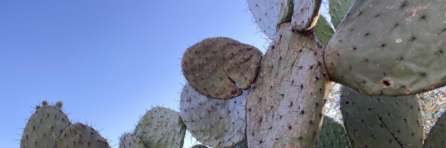 HaydeRodarte's profile banner image