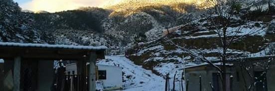 Leonardo El Bárbaro banner