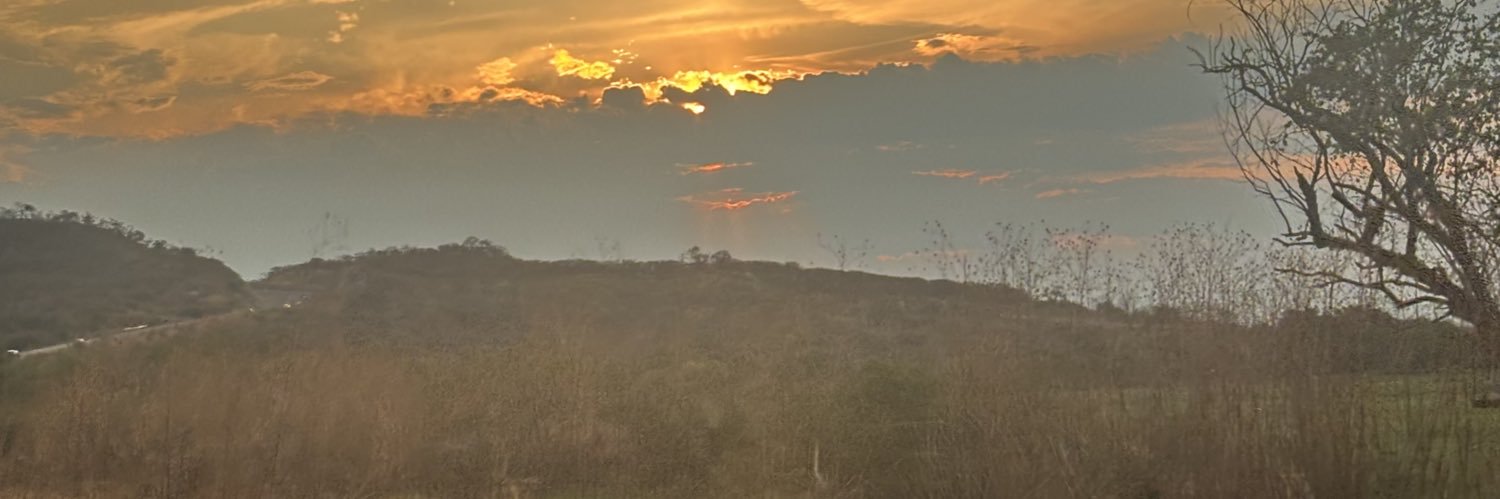 Adriana Contreras Vera banner