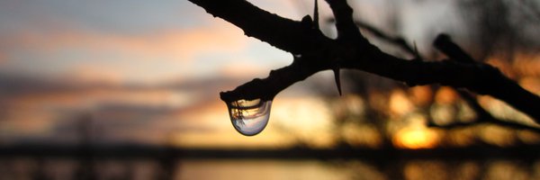 HeatherJMajor1 Profile Banner