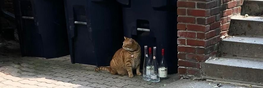 Evan Klim 🕺🏻🕺🏻🕺🏻 banner