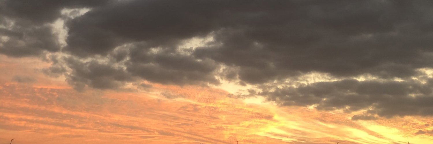 Mimi_0a's profile banner image