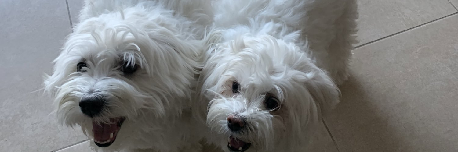 Lionel Sarrut banner