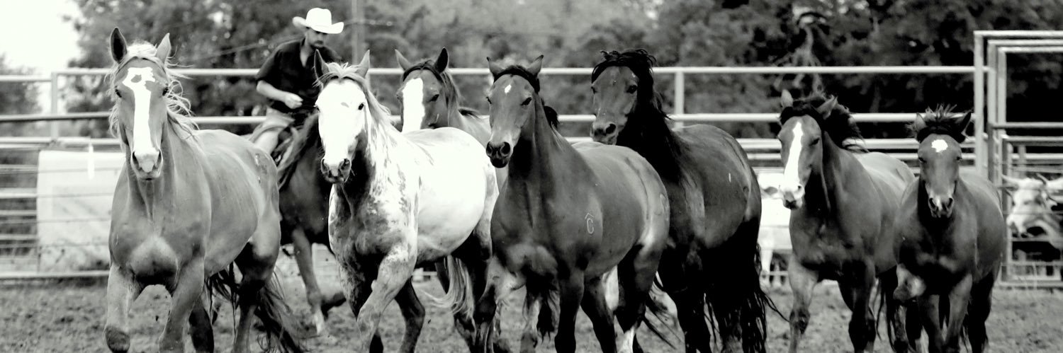 breevonhellborn's profile banner image