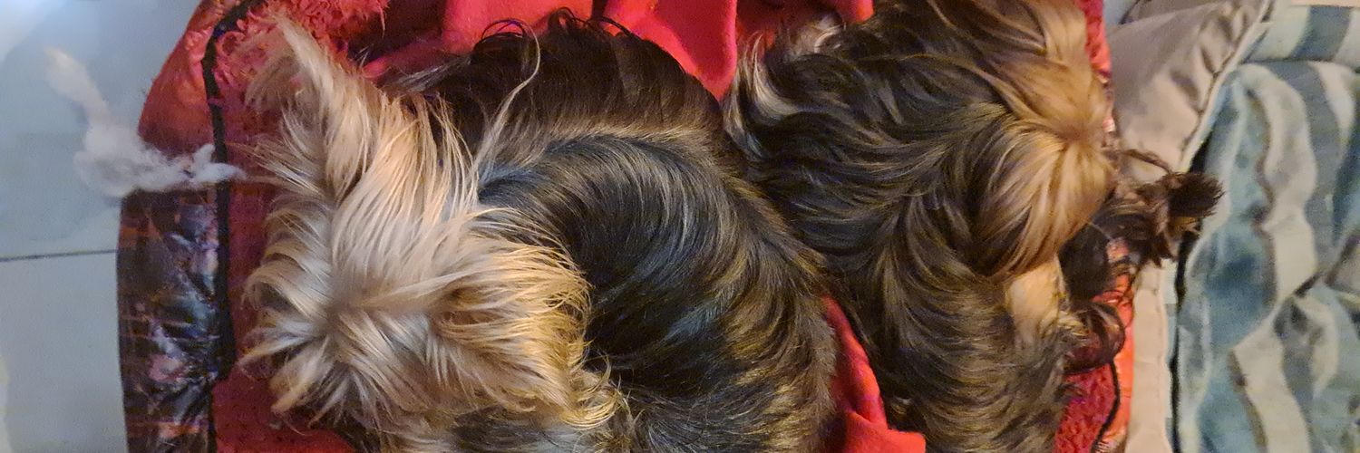 AndrewCdB's profile banner image