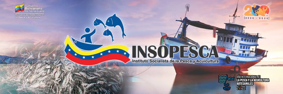 Insopesca banner