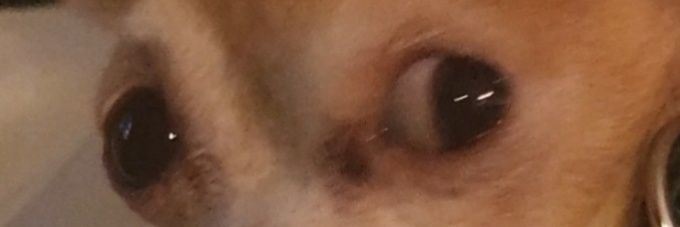 eyupsoyel's profile banner image