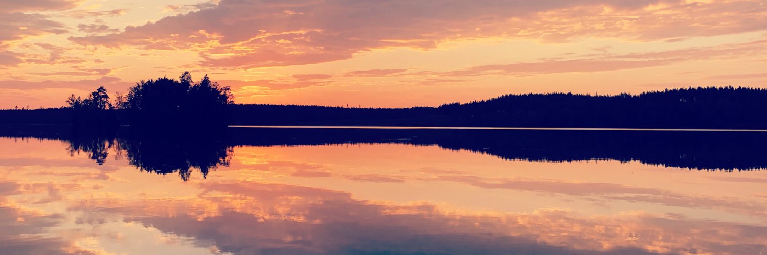 ellu____'s profile banner image